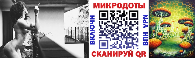 где можно купить Гусев Псилоцибиновые грибы мухоморы